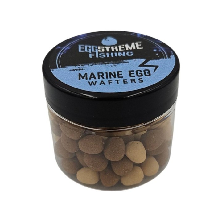 EggStreame Marine Egg