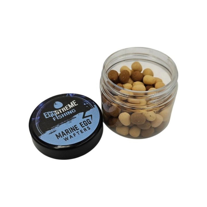 EggStreame Marine Egg