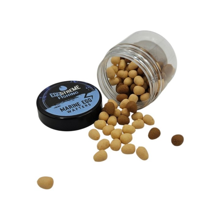 EggStreame Marine Egg