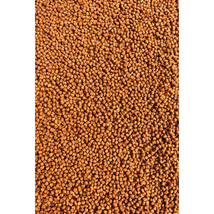 FeederBait Pellet 2mm Mango