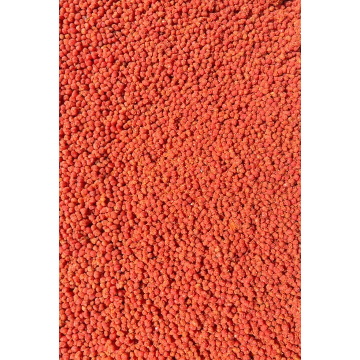 Feeder Bait Ready Pellet w wiaderku Czosnek & Śliwka